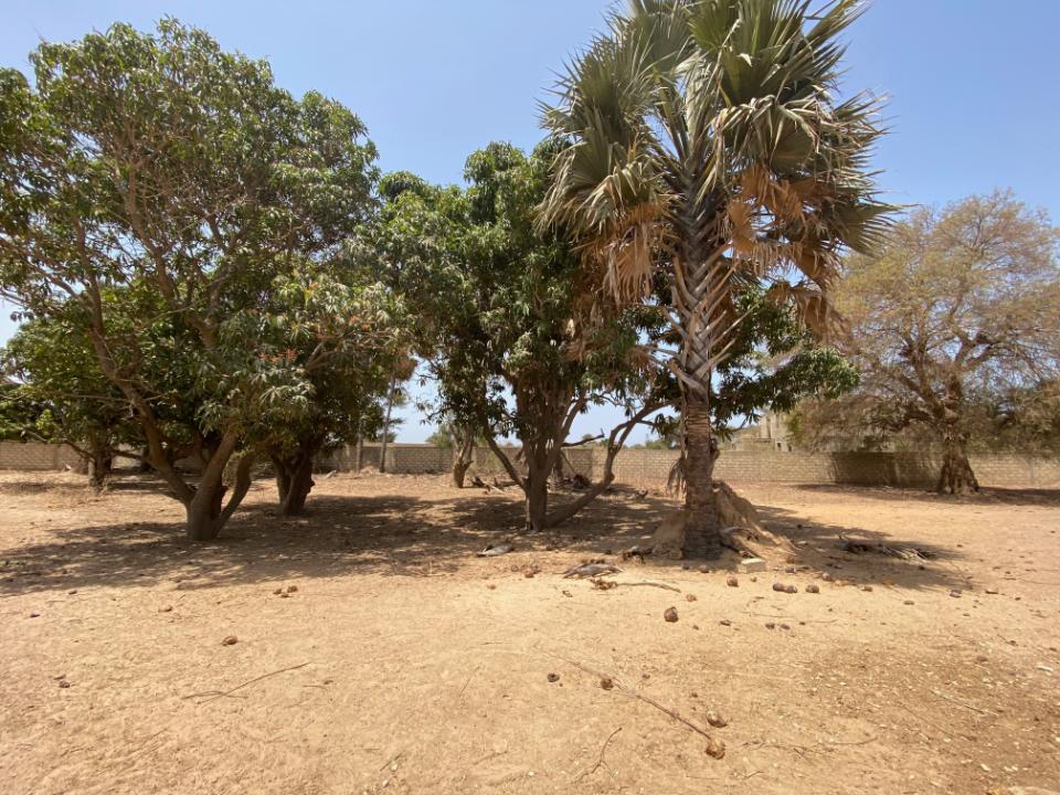 Image 1 de la réf. T40