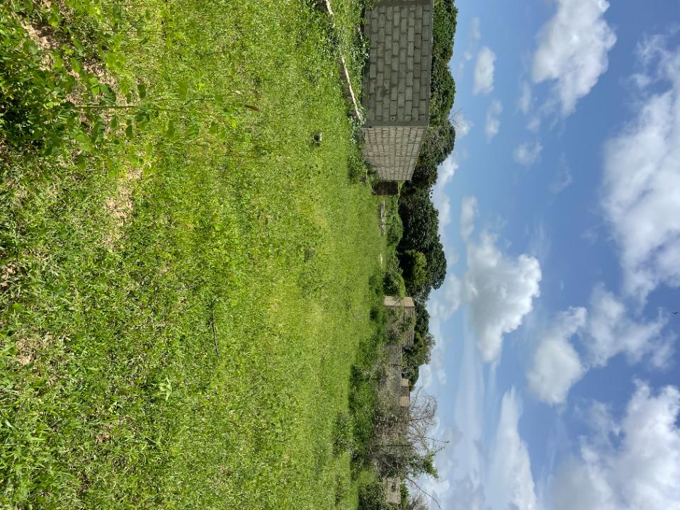Annonce immobilière ref. T82B