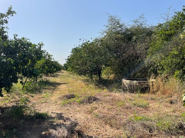 Image 9 de la réf. T91