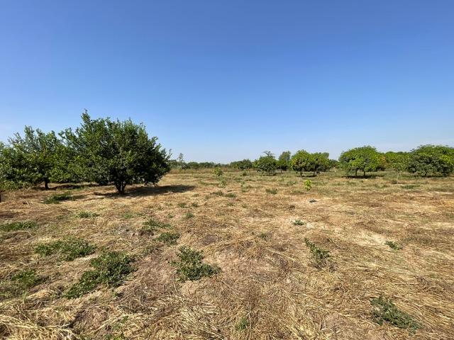 Image 10 de la réf. T91