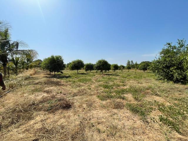 Image 11 de la réf. T91