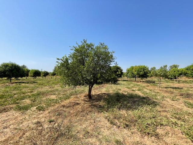 Image 12 de la réf. T91