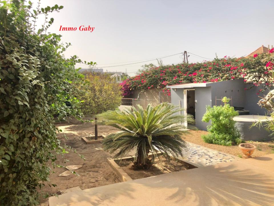 Image 4 de la réf. V0377A