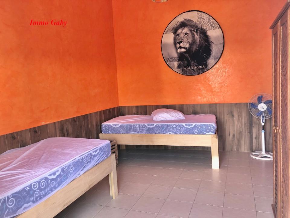 Image 11 de la réf. V0377B