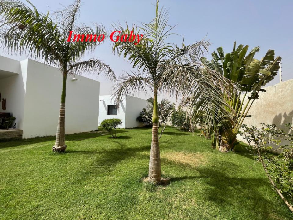 Image 5 de la réf. V0421