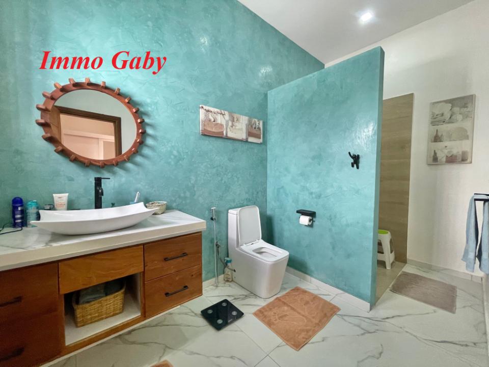 Image 23 de la réf. V0421