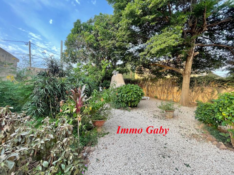 Image 5 de la réf. V0429