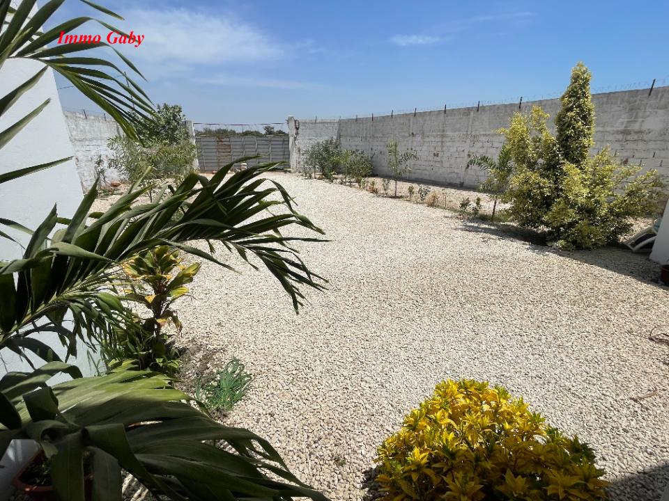 Image 3 de la réf. V0495