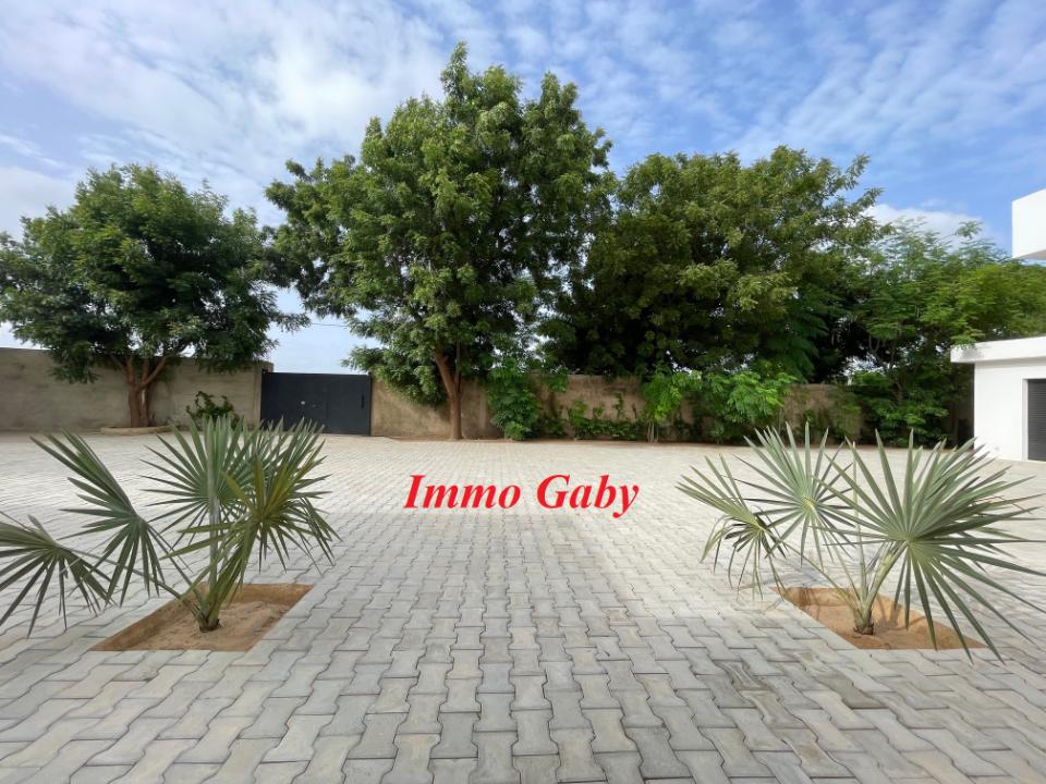 Image 28 de la réf. V0523