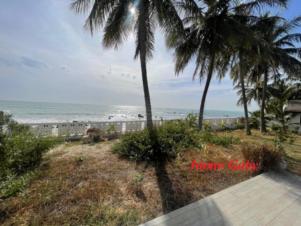 Image 2 de la réf. V0630