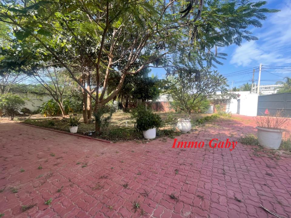 Image 29 de la réf. V0630