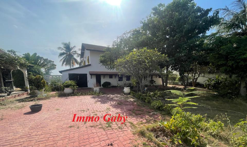 Image 30 de la réf. V0630