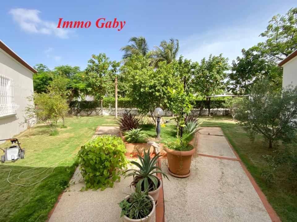 Image 4 de la réf. V0633