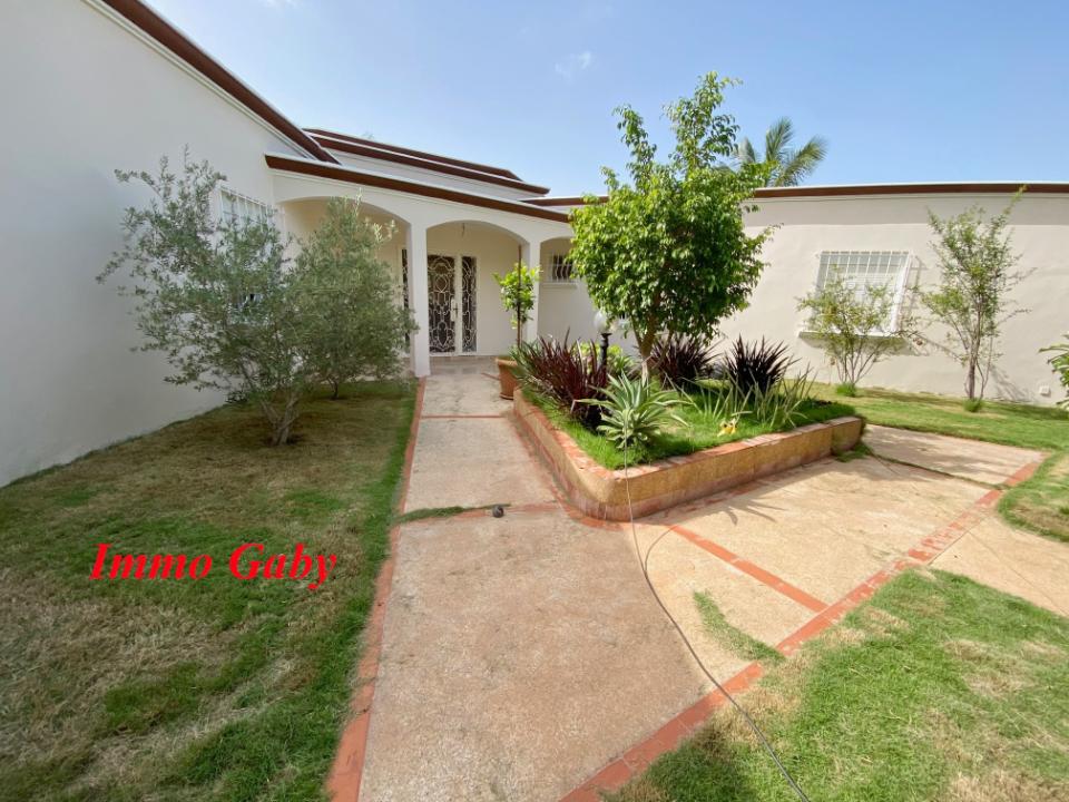 Image 5 de la réf. V0633