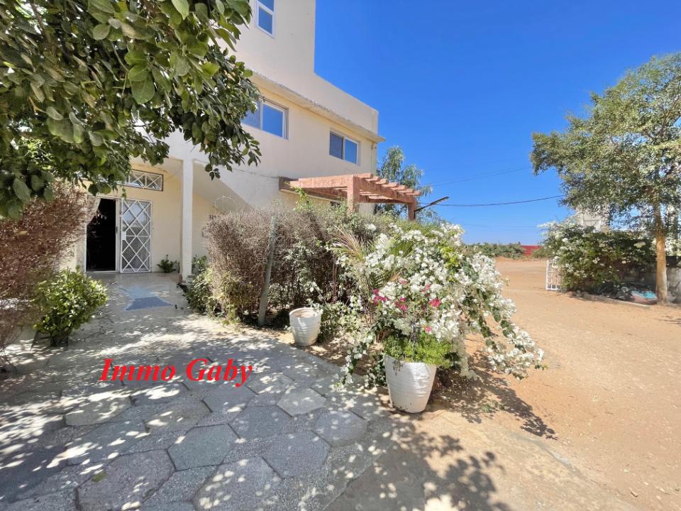 Image 2 de la réf. V0642