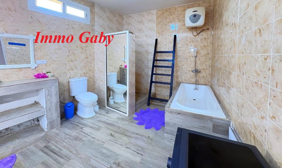 Image 39 de la réf. V0642