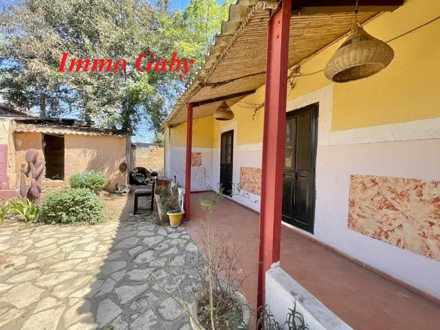 Image 5 de la réf. V0646