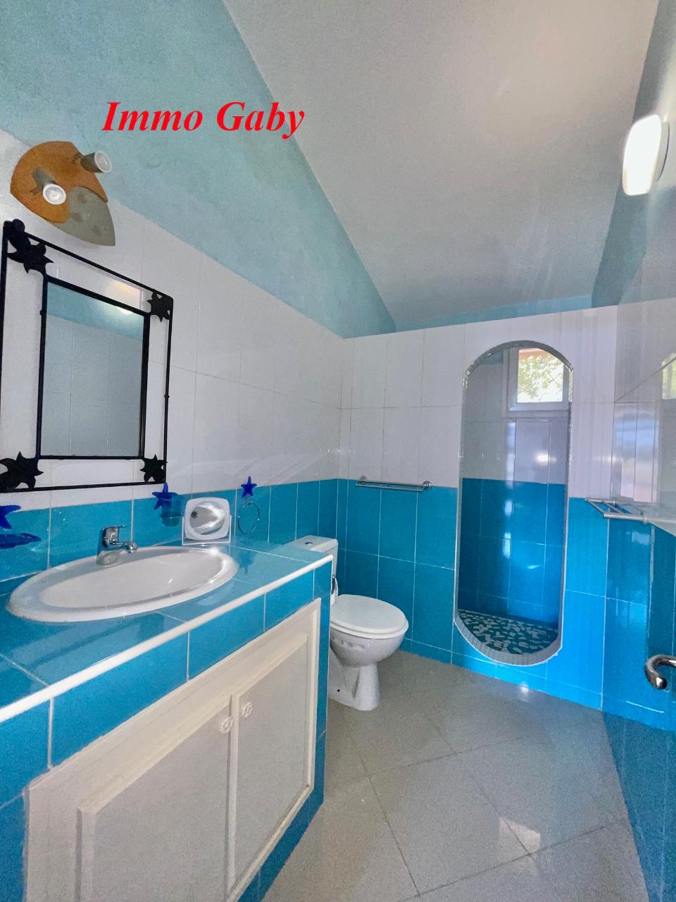 Image 22 de la réf. V0647