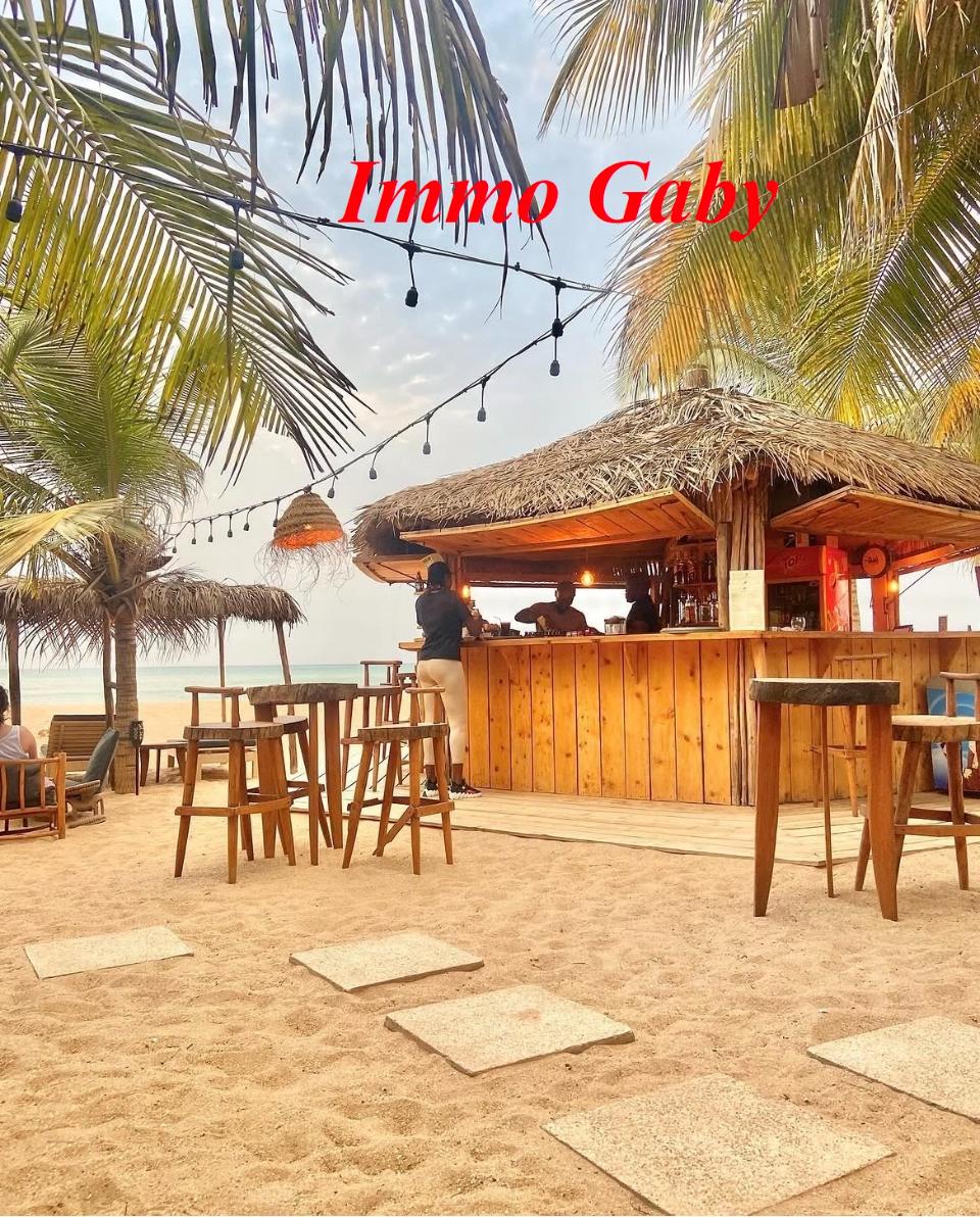 Image annonce V0664